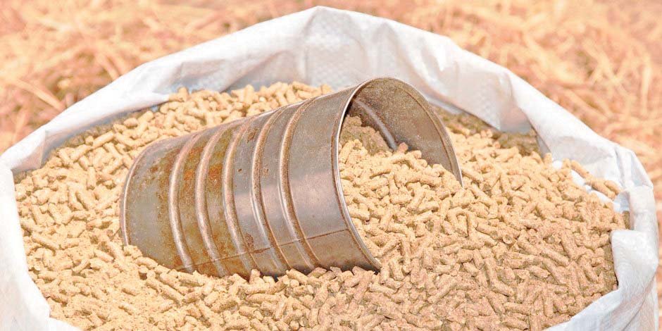 سعر العلف اليوم